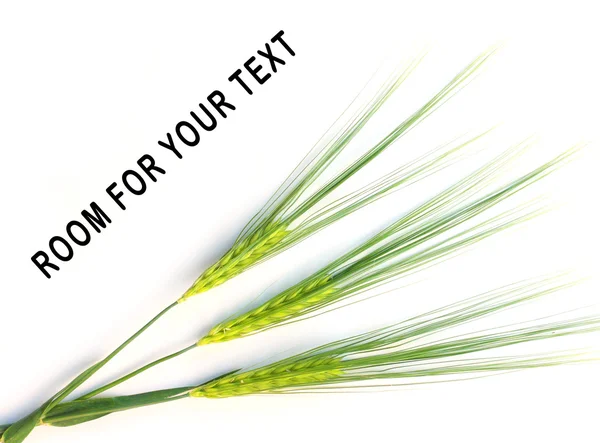 Grain and easy to remove the text — Stock Photo, Image