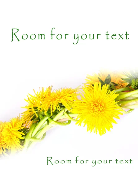 Dandelion wreath with easy removable text — Stock Photo, Image