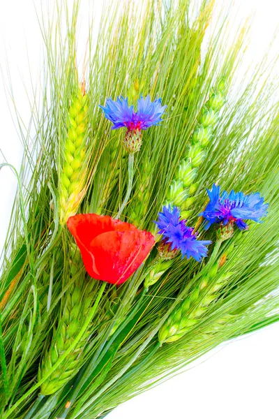 Grain and summer flowers. Isolated on white background. — Stock Photo, Image