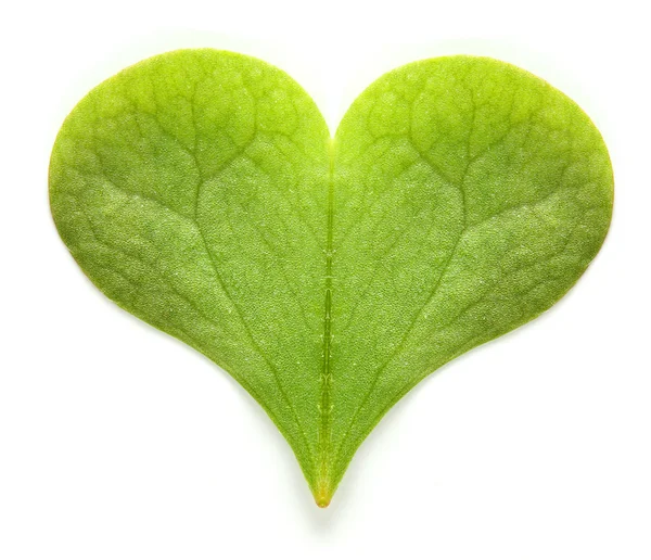 Green heart — Stock Photo, Image