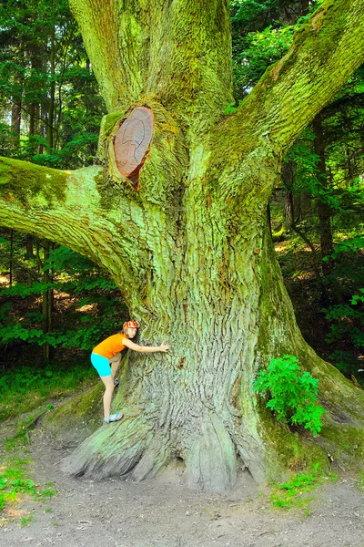 Mädchen umarmen Baum — Stockfoto