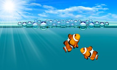 tropik resif balık - palyaço balığı.