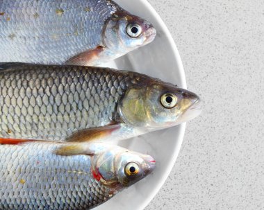 bir tabak taze çiğ balık.