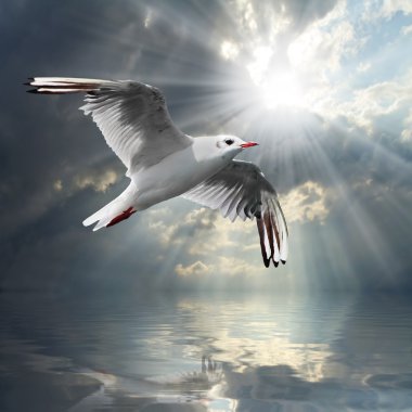 Denizin üstünde dramatik bir gökyüzü.