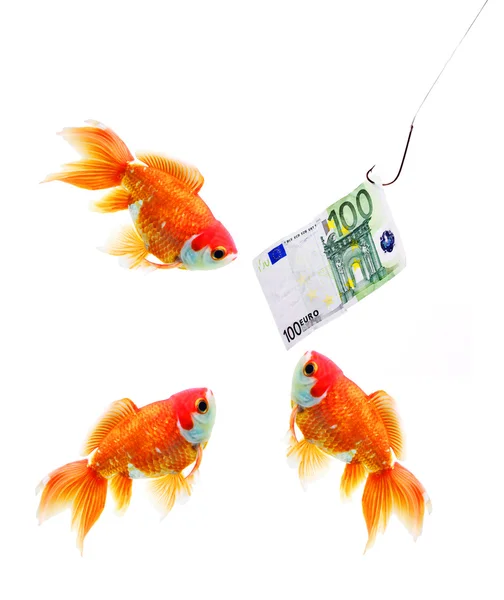 Money on the hook and three gold fish — Stock Photo, Image