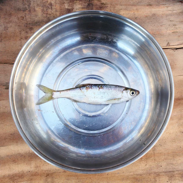 Pescado crudo — Foto de Stock