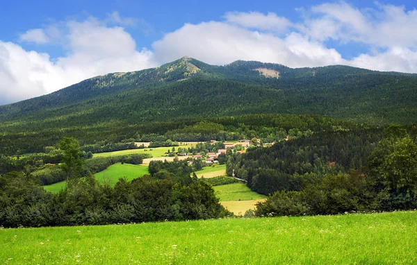 Campo e árvores — Fotografia de Stock