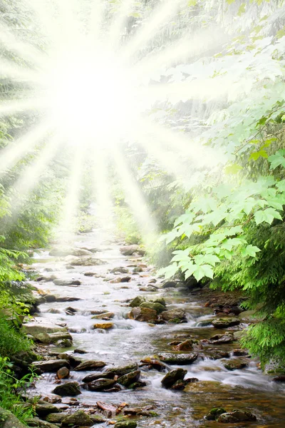 Weißbach — Stockfoto