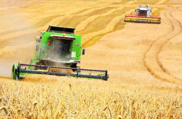 联合收获小麦. — 图库照片