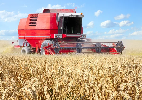 Combine harvesting wheat. — Stock Photo, Image