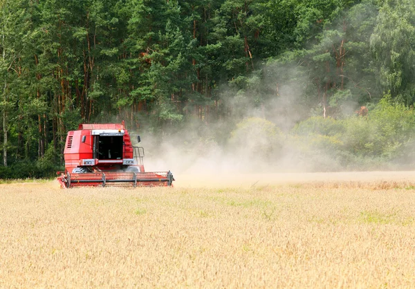 Combine harvesting wheat. — Stock Photo, Image