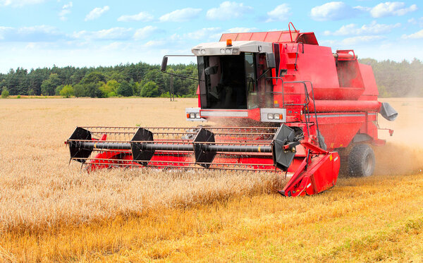 Combine harvesting wheat.