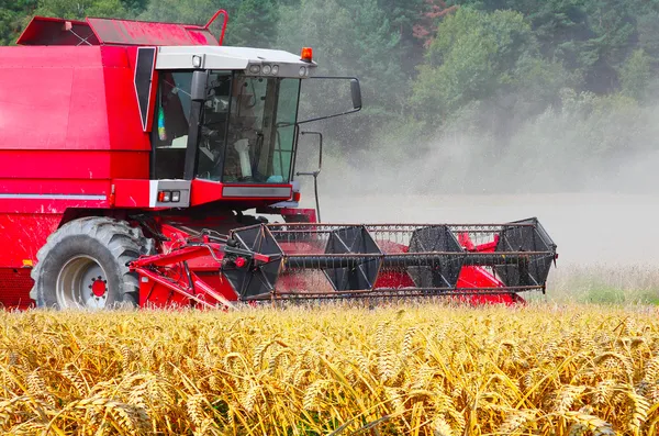 Mähdrescher erntet Weizen. — Stockfoto