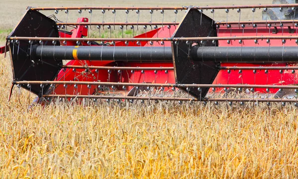 Combine harvesting wheat. — Stock Photo, Image