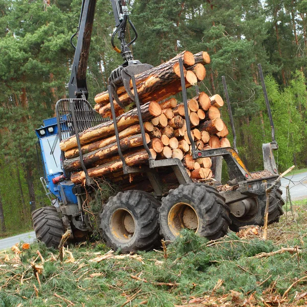 Der Harvester bei der Arbeit im Wald. — Stockfoto