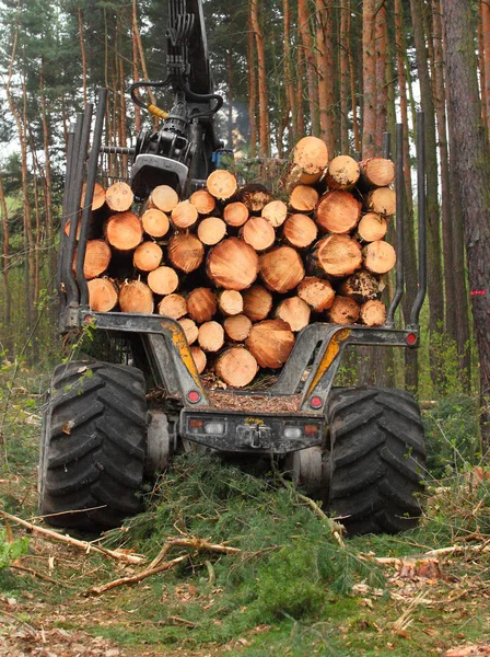 La mietitrice che lavora in una foresta. — Foto Stock