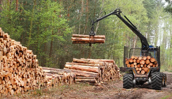 De oogstmachine die in een bos werkt. — Stockfoto