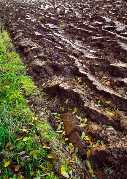 Cultivated land — Stock Photo, Image