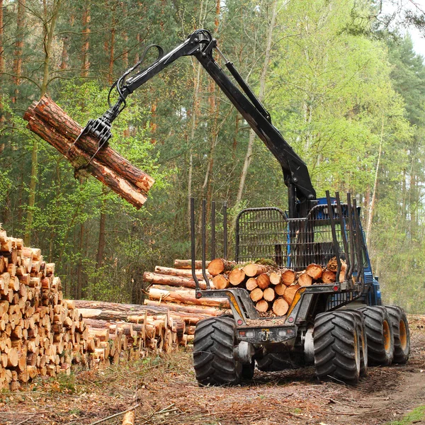 Skördaren som arbetar i en skog. — Stockfoto