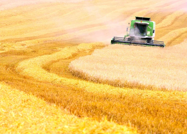 buğday hasat birleştirmek.