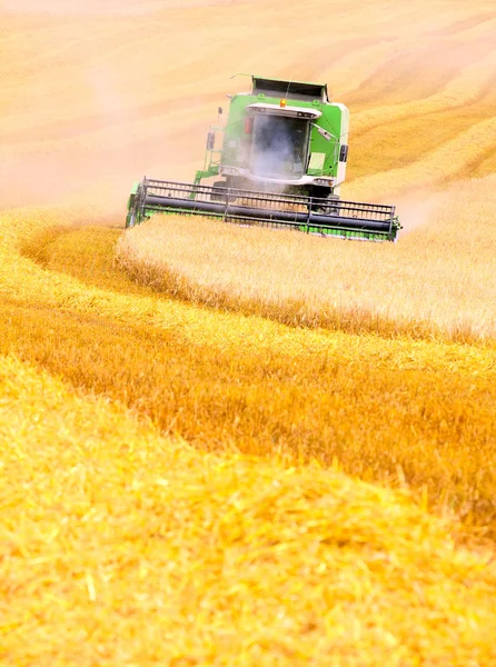 Kombinovat, sklizeň pšenice. — Stock fotografie