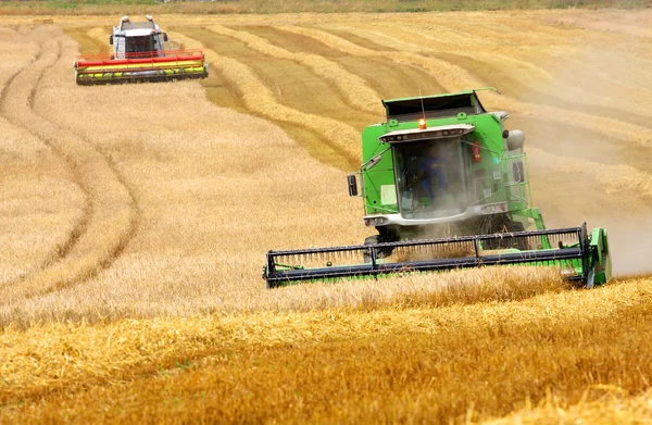 Combine harvesting wheat. — Stock Photo, Image