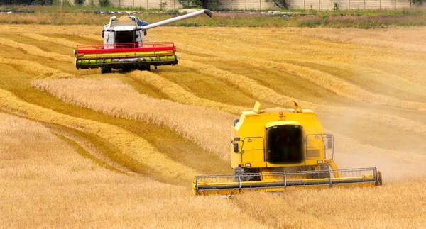 Combine harvesting wheat. — Stock Photo, Image