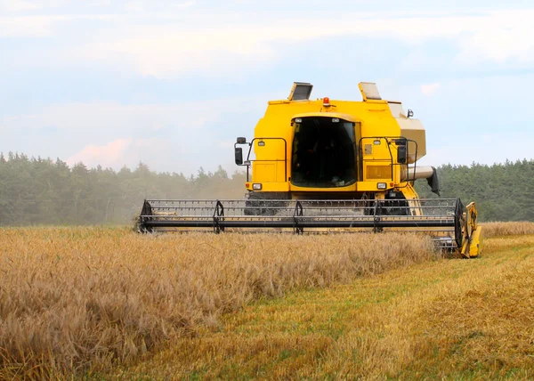 Combine harvesting wheat. — Stock Photo, Image