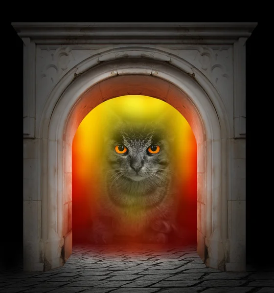 O Hellcat em uma lareira — Fotografia de Stock