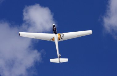 ünlü Çek spor planör blanik