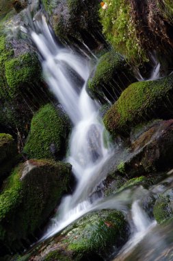 en güzel cascascade bila strz beyaz Creek