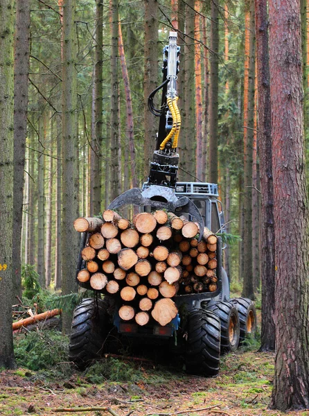 De oogstmachine die in een bos werkt. — Stockfoto