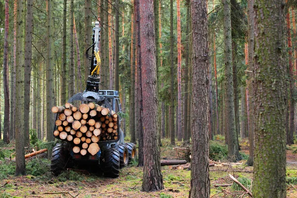 A betakarító egy erdőben dolgozik. — Stock Fotó