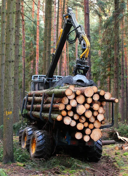 De oogstmachine die in een bos werkt. — Stockfoto