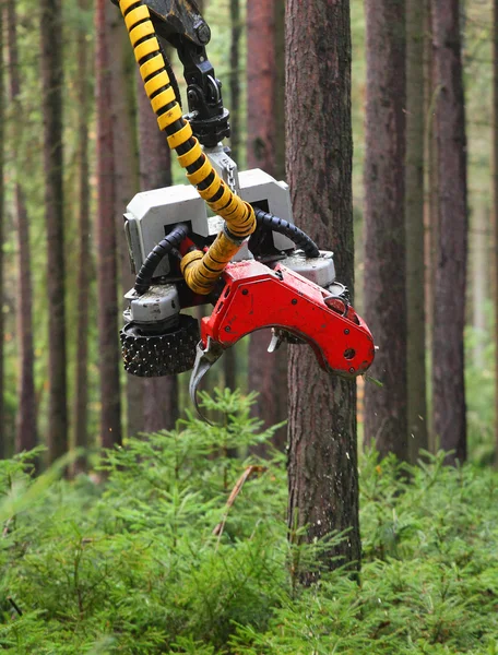 La moissonneuse travaillant dans une forêt. — Photo