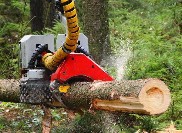 Skördaren som arbetar i en skog. — Stockfoto