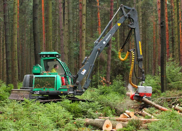 Unbekannter Holzfäller mit moderner Erntemaschine — Stockfoto