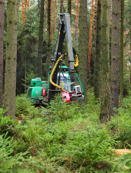 Oidentifierade skogshuggare med moderna skörda — Stockfoto