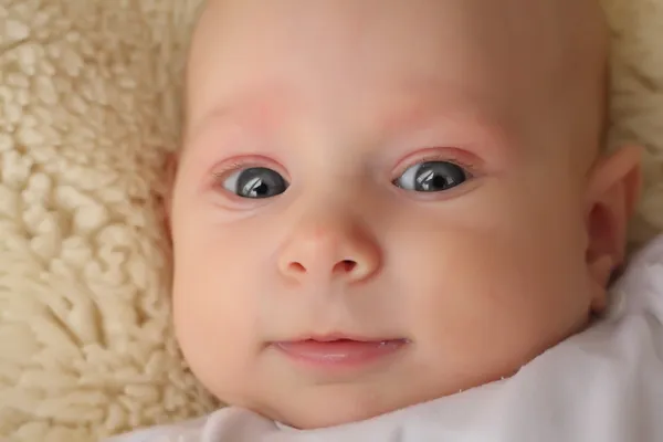 Bebê bonito em um cobertor plushy . — Fotografia de Stock