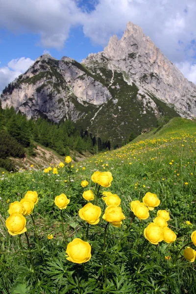 Passera giau dolomiti mountains — Stockfoto