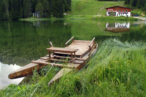 Bosque y lago —  Fotos de Stock