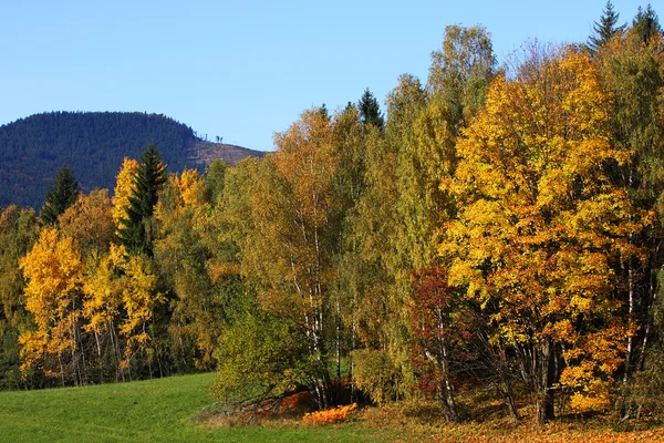 Autumn landscape — Stock Photo, Image