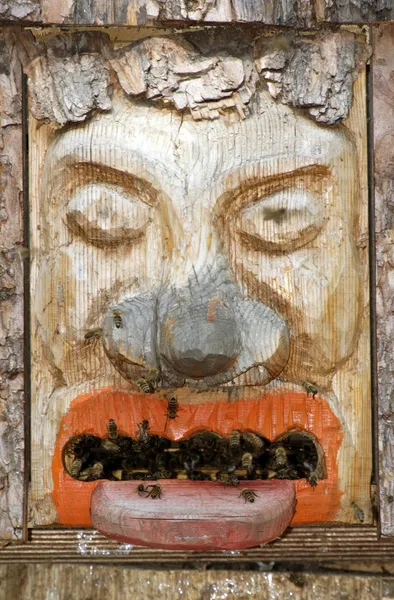 Пчела на дереве — стоковое фото