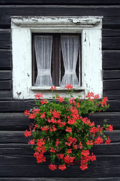 Сельское окно — стоковое фото