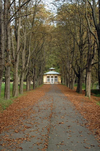 Kyrka i parken — Stockfoto