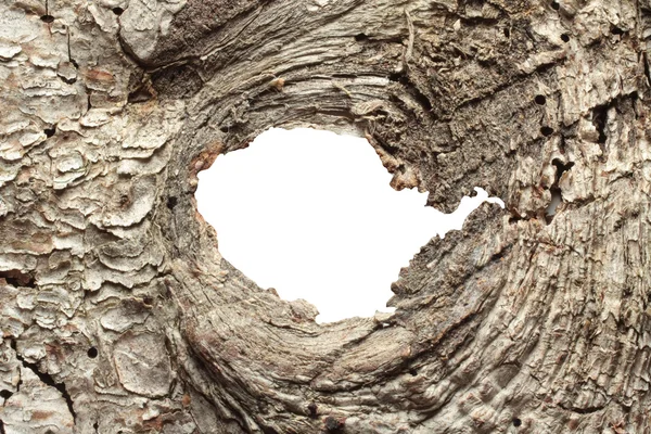 나무 구조 — 스톡 사진