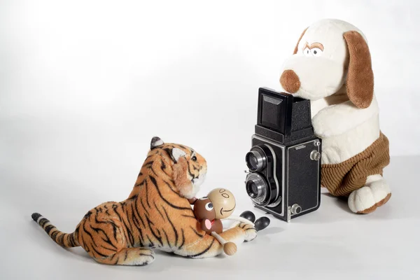 Fotógrafo plushy com modelo — Fotografia de Stock