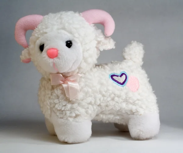 Valentine Lamb — Stok Foto