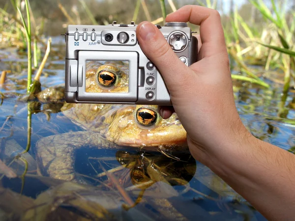 Naturfotografering — Stockfoto