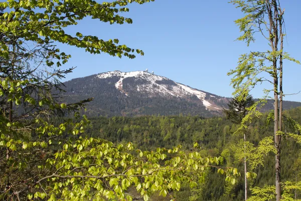 Montagne della foresta bavarese — Foto Stock